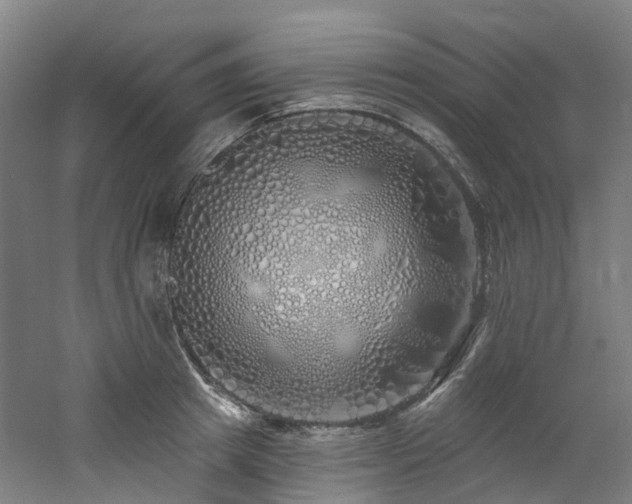 X0000060760849200511101138