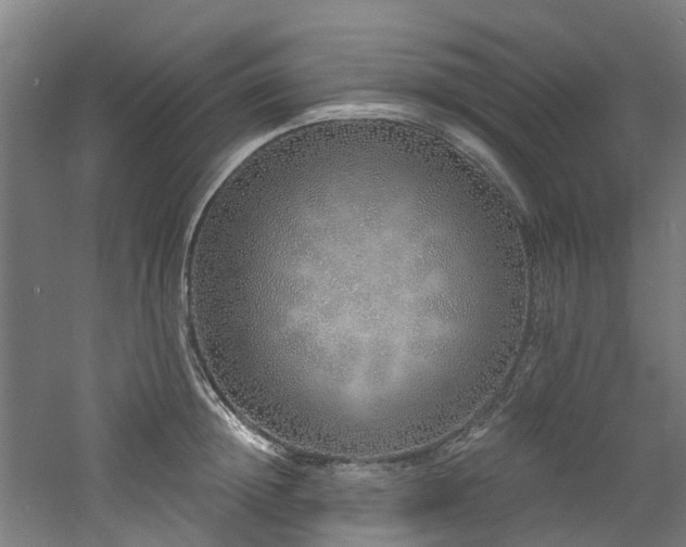 X0000060760852200511101138