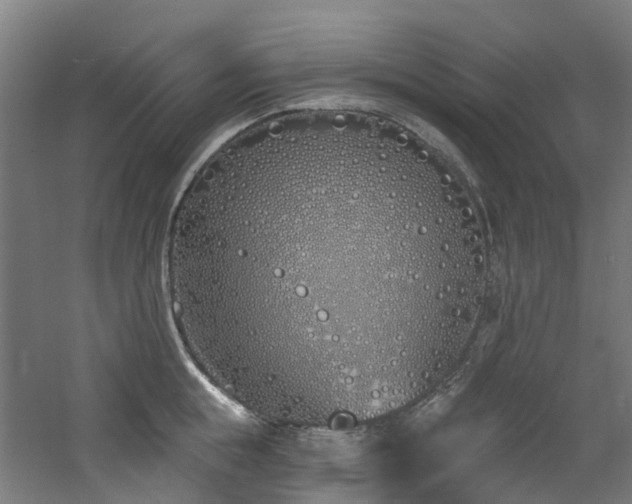 X0000060760855200511101138