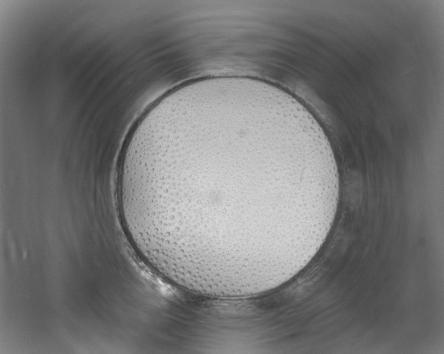 X0000060760856200511101138