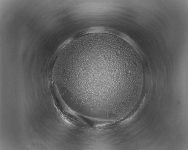 X0000060760857200511101138