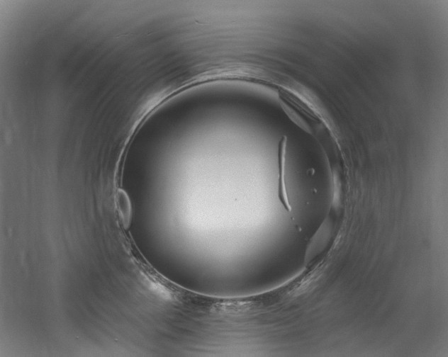 X0000060760858200511101138