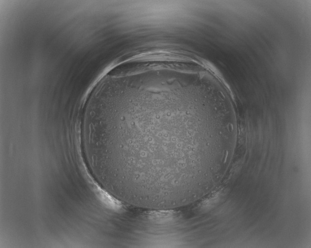 X0000060760859200511101138