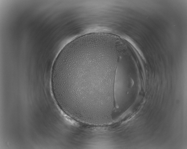 X0000060760861200511101138