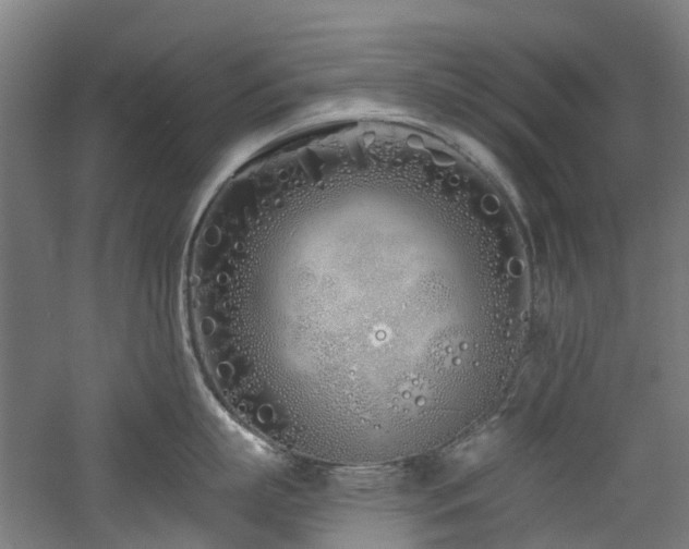 X0000060760863200511101138