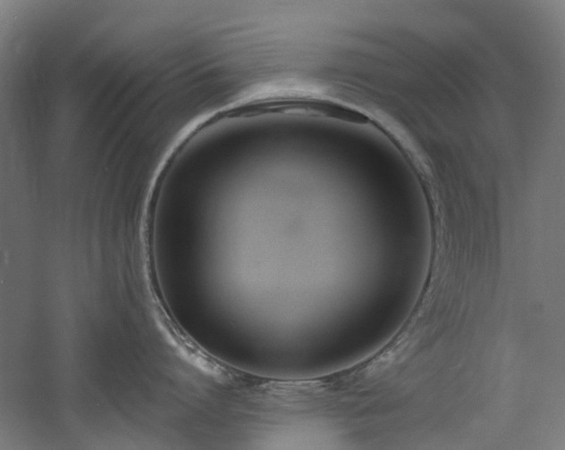 X0000060760864200511101138