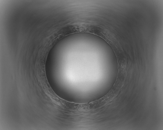 X0000060760865200511101137