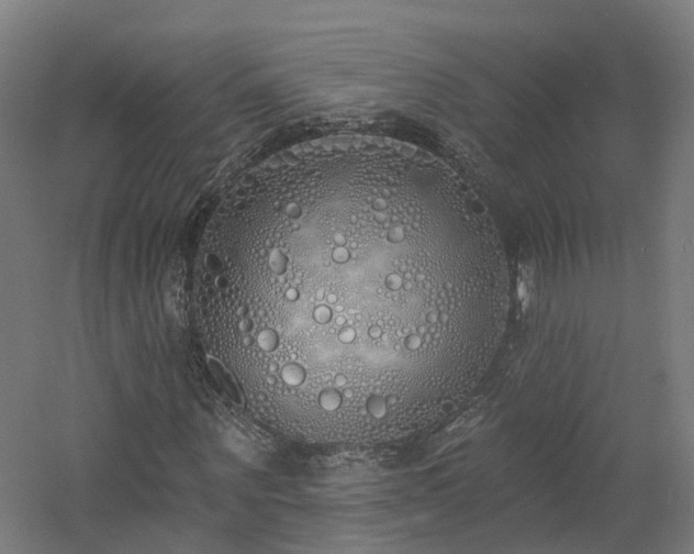 X0000060760867200511101137