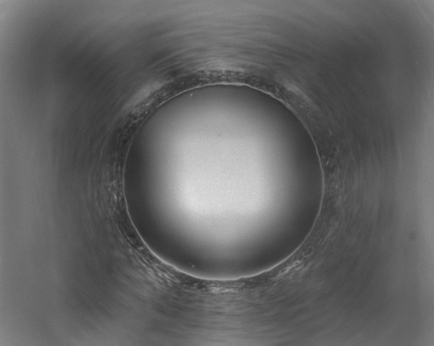X0000060760870200511101137