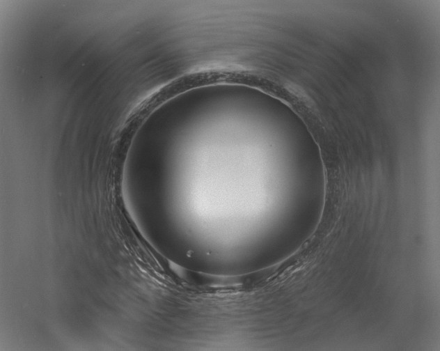 X0000060760872200511101137