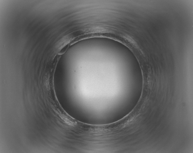 X0000060760873200511101137