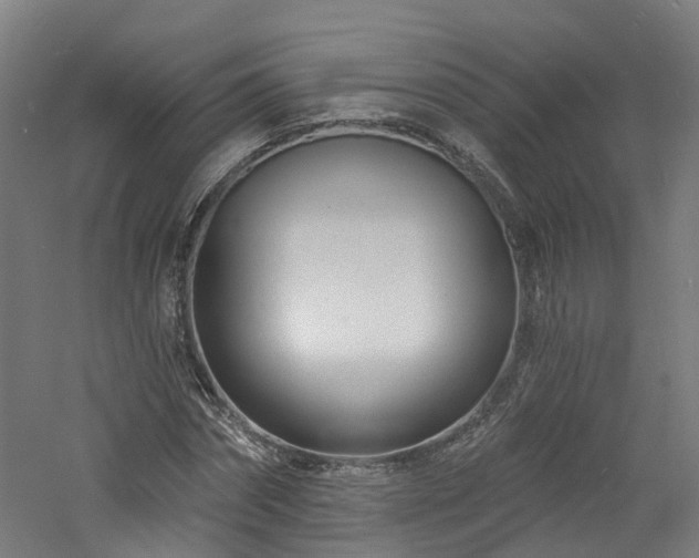 X0000060760874200511101137