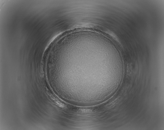 X0000060760878200511101137