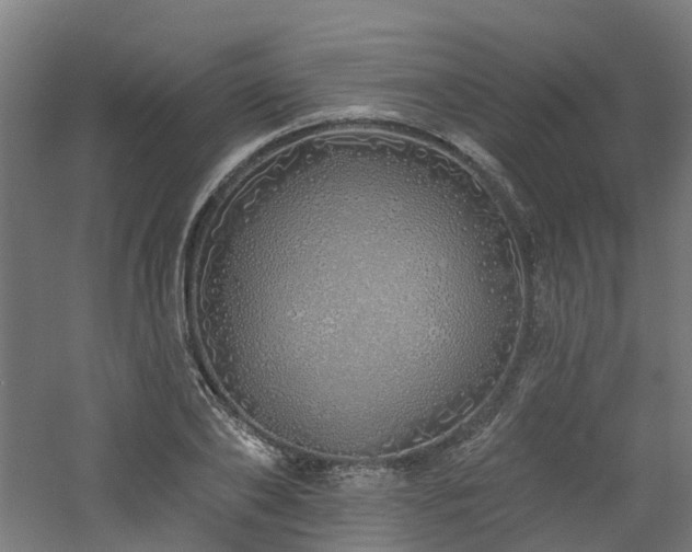 X0000060760886200511101137