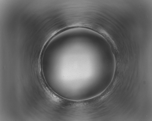X0000060760892200511101137