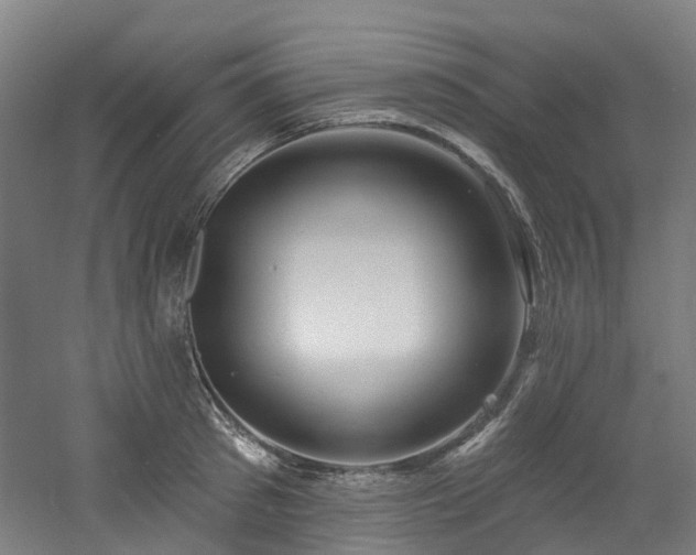 X0000060760897200511101137