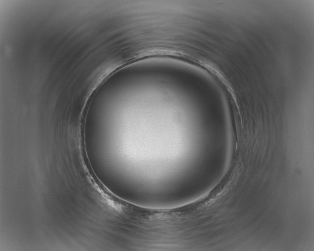 X0000060760898200511101137