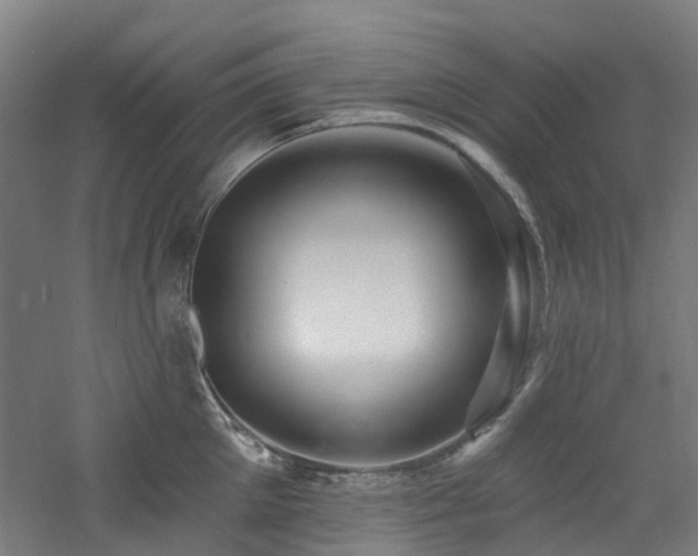 X0000060760905200511101136