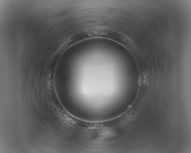 X0000060760915200511101136