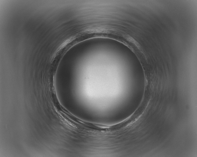 X0000060760922200511101136