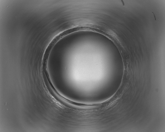X0000060760924200511101136