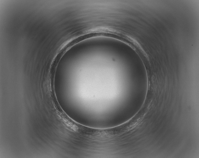 X0000060760931200511101136