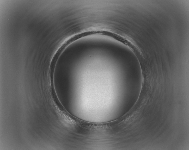 X0000060760934200511101136