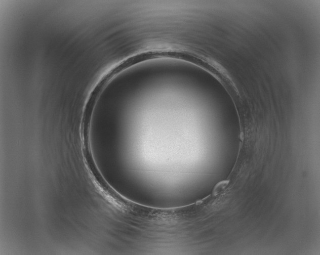 X0000060760935200511101136