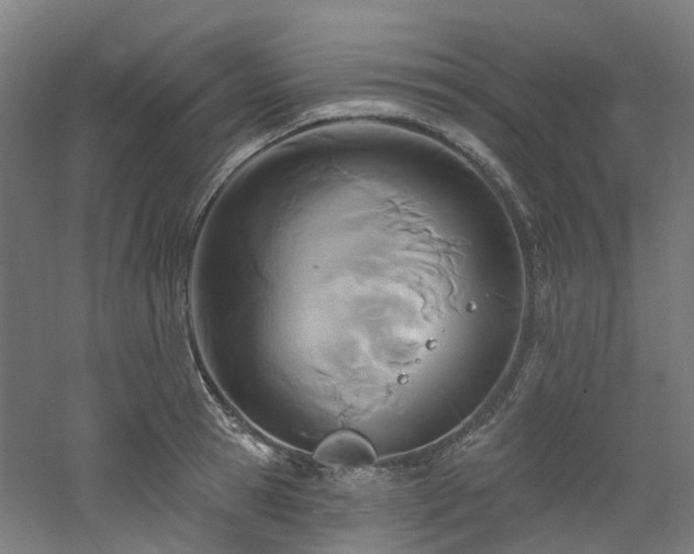 X0000060760945200511101136