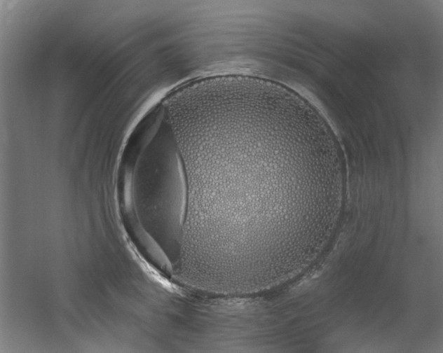 X0000060760949200511101136