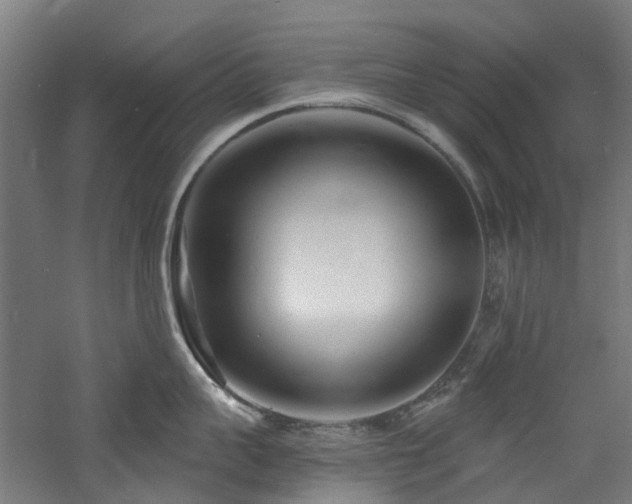 X0000060760959200511101136