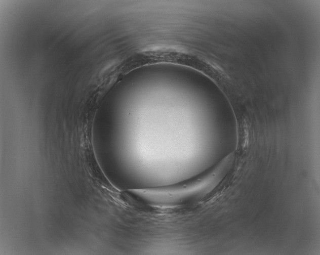 X0000060760965200511101135