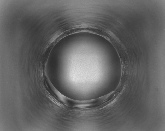 X0000060760969200511101135