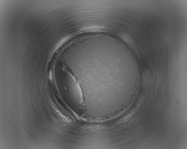 X0000060760970200511101135