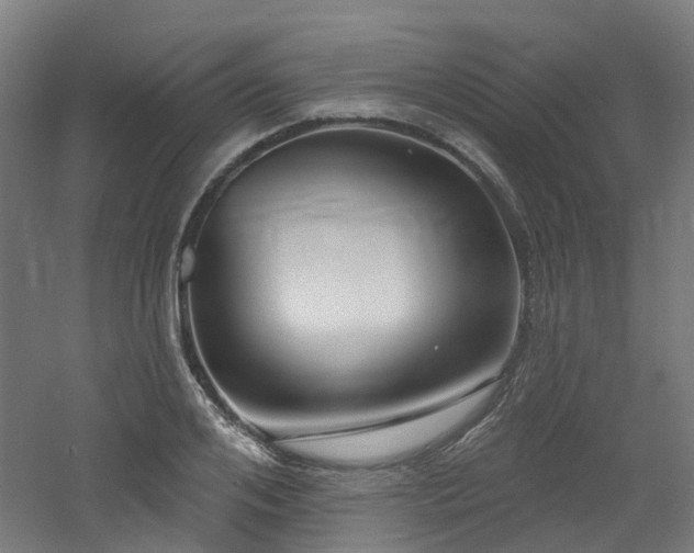 X0000060760984200511101135