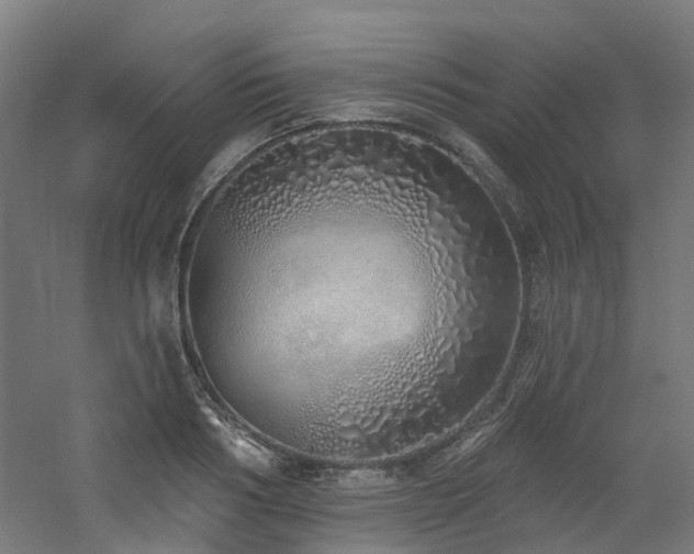 X0000060760986200511101135