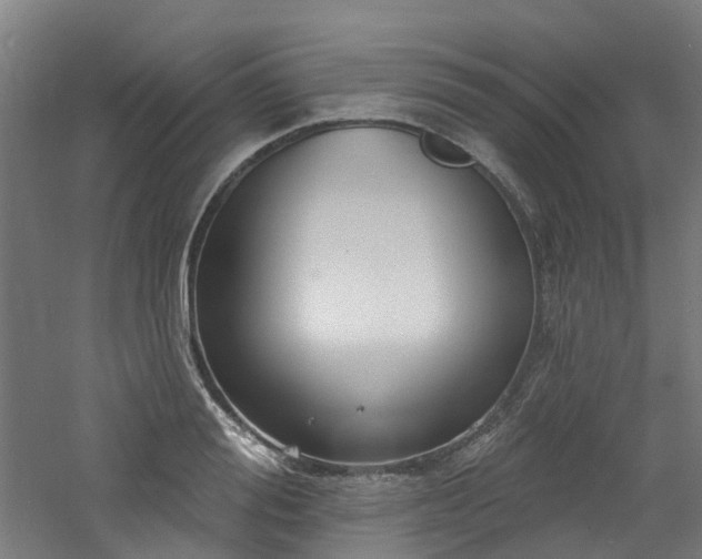 X0000060760988200511101135
