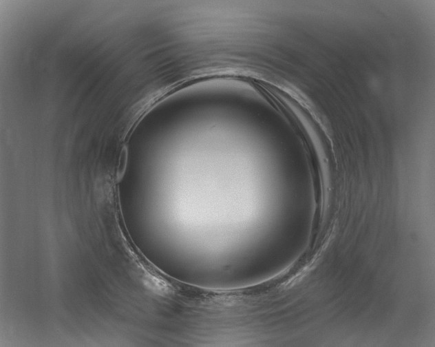 X0000060760993200511101135