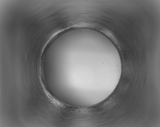 X0000060761000200511101135
