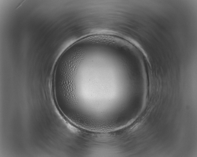 X0000060761007200511101135