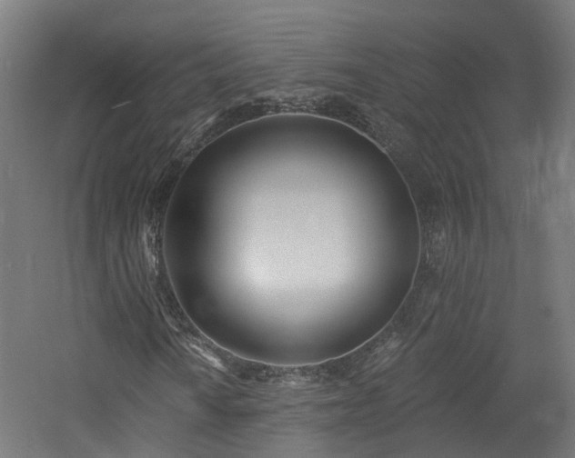 X0000060761010200511101134