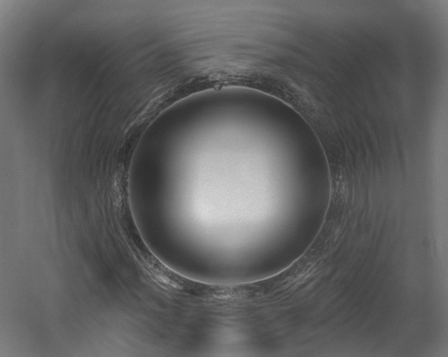X0000060761012200511101134