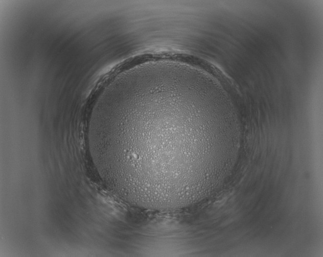 X0000060761016200511101134