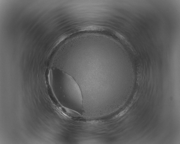 X0000060761017200511101134
