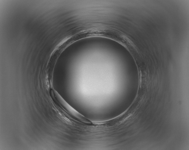 X0000060761018200511101134