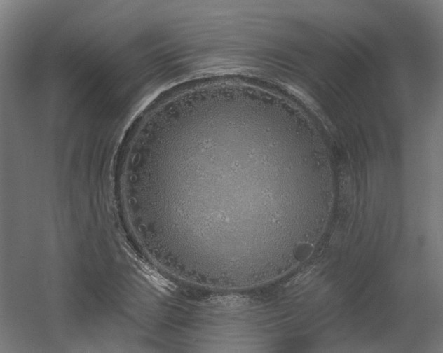 X0000060761023200511101134
