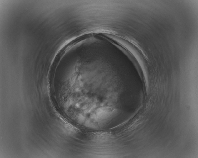 X0000060761024200511101134