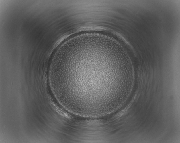 X0000060761025200511101134