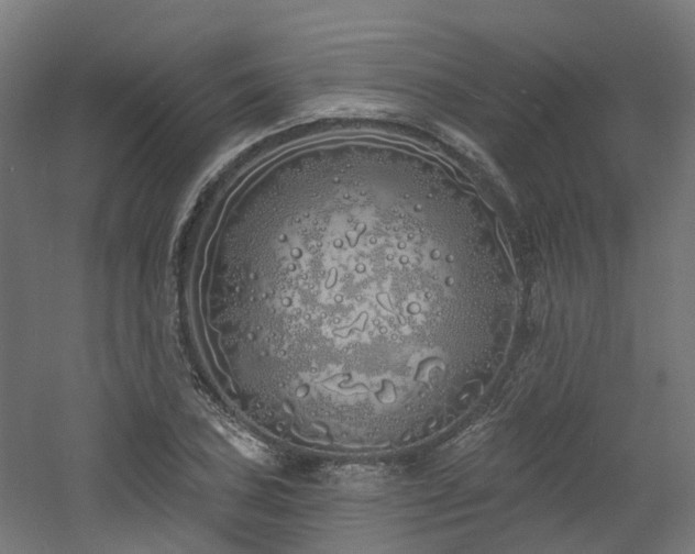 X0000060761027200511101134