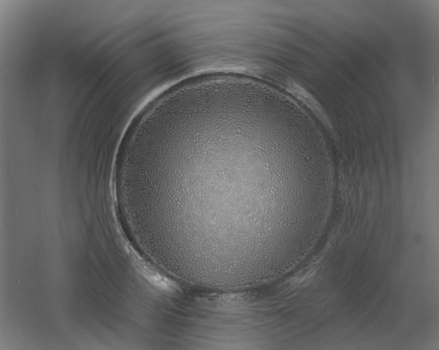 X0000060761028200511101134